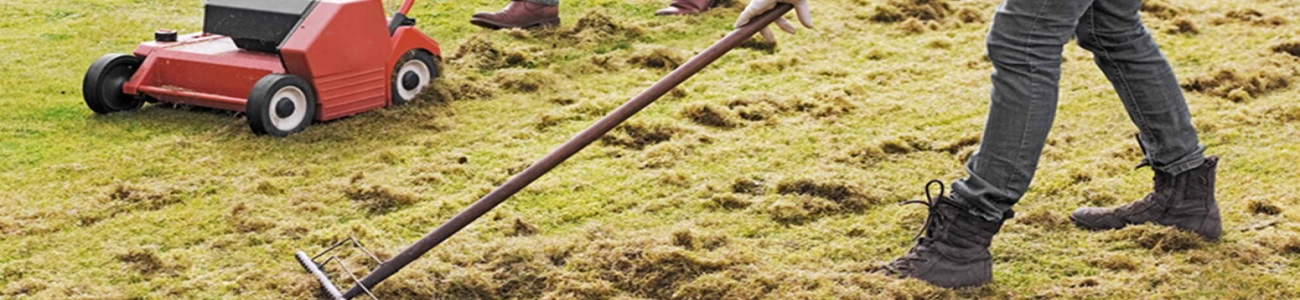 Verticuteren van het gazon om mos en vilt te verwijderen